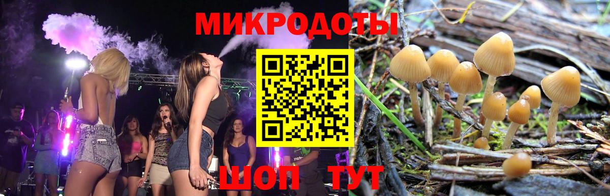 Галлюциногенные грибы мицелий  Вход с VPN  Петрозаводск 