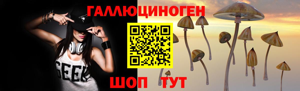 Галлюциногенные грибы мицелий Петрозаводск